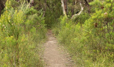 Three Views Walking Track - Accommodation Port Macquarie 0