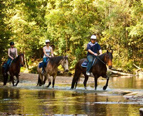 Glenworth Valley Outdoor Adventures - Accommodation Port Macquarie 2