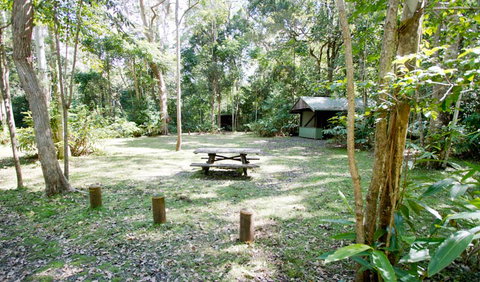 Toonumbar National Park - Accommodation Port Macquarie 3