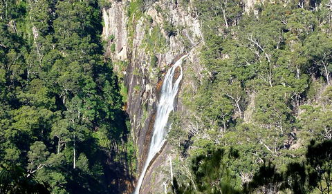 Carrai National Park - Accommodation Port Macquarie 0
