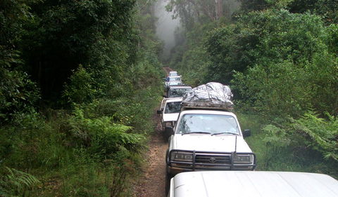 Carrai National Park - Accommodation Port Macquarie 3