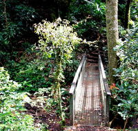 Richmond Range National Park - Accommodation Port Macquarie