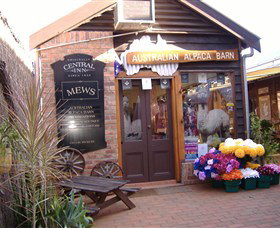 Australian Alpaca Barn - Morpeth - Accommodation Port Macquarie 0