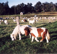 Trudgalong Farm - Accommodation Port Macquarie