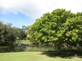 Hervey Bay Botanic Gardens - Accommodation Port Macquarie 0
