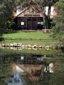 Hervey Bay Botanic Gardens - Accommodation Port Macquarie 1