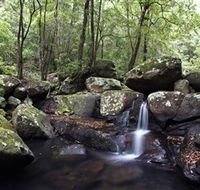 Kangaroo River - Accommodation Port Macquarie
