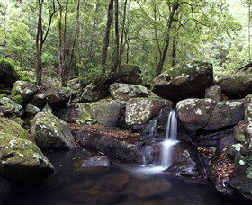 Kangaroo River - Accommodation Port Macquarie 0