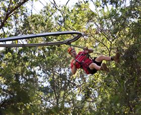 TreeTops Crazy Rider - Accommodation Port Macquarie 1