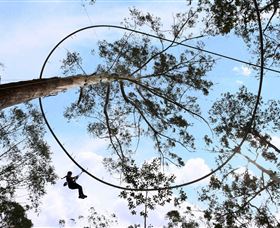 TreeTops Crazy Rider - Accommodation Port Macquarie 0