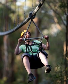 TreeTops Crazy Rider - Accommodation Port Macquarie 2