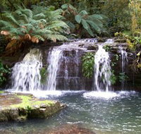Barrington Tops National Park Walks - Accommodation Port Macquarie