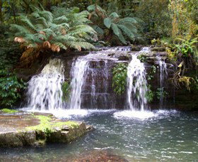 Barrington Tops National Park Walks - Accommodation Port Macquarie 0