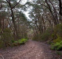 Budawang National Park - Accommodation Port Macquarie