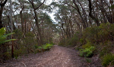 Budawang National Park - Accommodation Port Macquarie 0