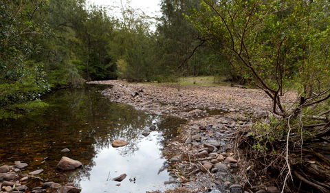 Budawang National Park - Accommodation Port Macquarie 2