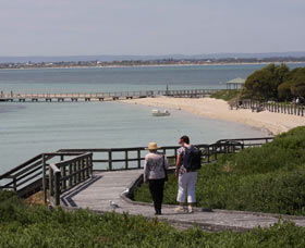 Penguin Island Boardwalks And Walk Trail - Accommodation Port Macquarie 1