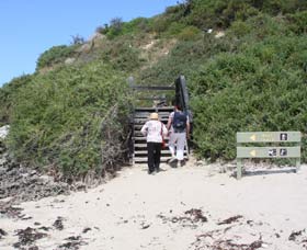 Penguin Island Boardwalks And Walk Trail - Accommodation Port Macquarie 2