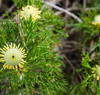 Illawarra lookout walking track - Accommodation Port Macquarie