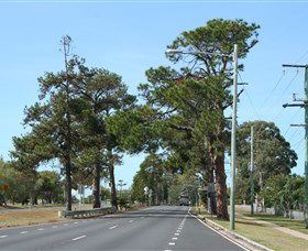 Anzac Memorial Avenue, Redcliffe - Accommodation Port Macquarie 2