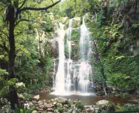 Budderoo National Park - The Falls Walk - Accommodation Port Macquarie 0