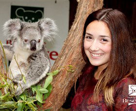 Blackbutt Reserve - Accommodation Port Macquarie 0