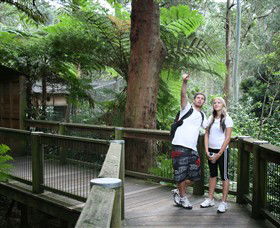 Blackbutt Reserve - Accommodation Port Macquarie 1