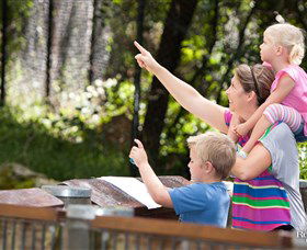 Blackbutt Reserve - Accommodation Port Macquarie 4