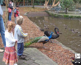 Blackbutt Reserve - Accommodation Port Macquarie 5