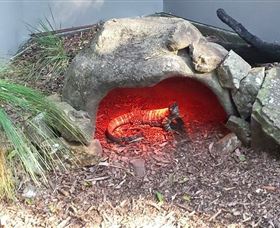 Blackbutt Reserve - Accommodation Port Macquarie 8