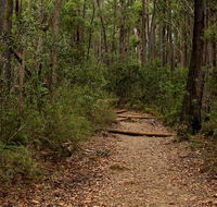 Pigeon House Mountain Didthul walking track - Accommodation Port Macquarie