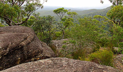 Pigeon House Mountain Didthul Walking Track - Accommodation Port Macquarie 1