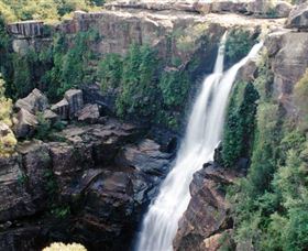 Minnamurra Rainforest Centre: Budderoo National Park - Accommodation Port Macquarie 0