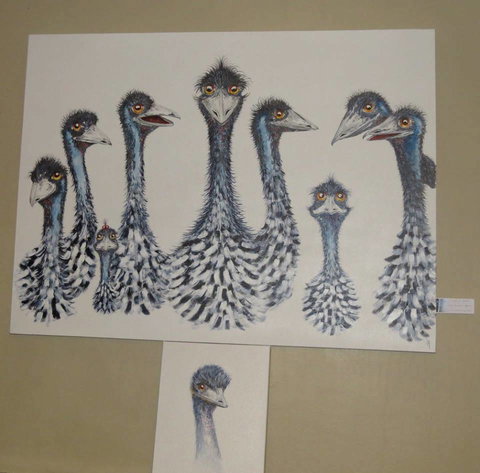 Galleries In The Gardens - Accommodation Port Macquarie 1