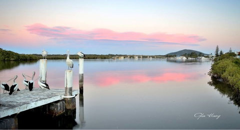 Galleries In The Gardens - Accommodation Port Macquarie 3