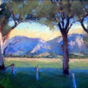 Galleries In The Gardens - Accommodation Port Macquarie 4