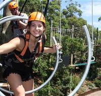 Wild Ropes at Taronga Zoo - Accommodation Port Macquarie
