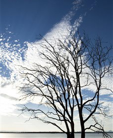 Nudgee Beach - Accommodation Port Macquarie 0