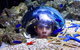 Sea Life Sunshine Coast - thumb 0