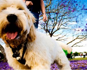 Tuckeroo Park - Accommodation Port Macquarie 0