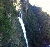 Ellenborough Falls - Accommodation Port Macquarie