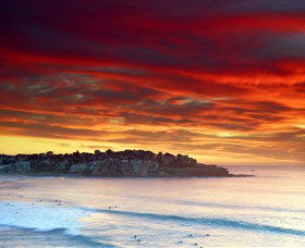 Aquabumps - Accommodation Port Macquarie 8