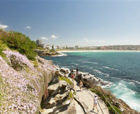 Bondi To Coogee Coastal Walk - Accommodation Port Macquarie 3