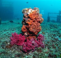 HMAS Brisbane Dive Site - Accommodation Port Macquarie