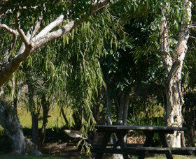 Naughtons Gap NSW Accommodation Port Macquarie