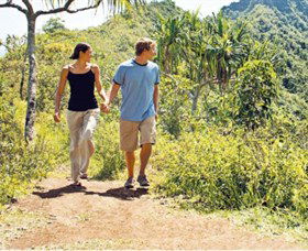 Hoddles Track - Accommodation Port Macquarie 0