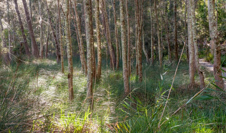  Accommodation Port Macquarie