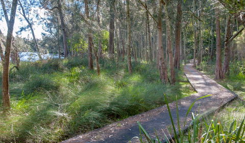 Anabranch Loop Track - Accommodation Port Macquarie 3