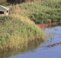 Spring Creek Wetlands Walk - Accommodation Port Macquarie