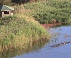 Spring Creek Wetlands Walk - Accommodation Port Macquarie 0